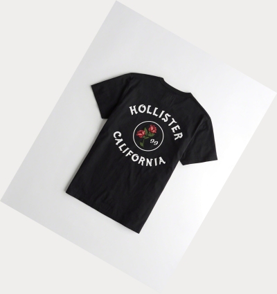 Hollister Mens T Shirts South Africa Shop - Hollister Online